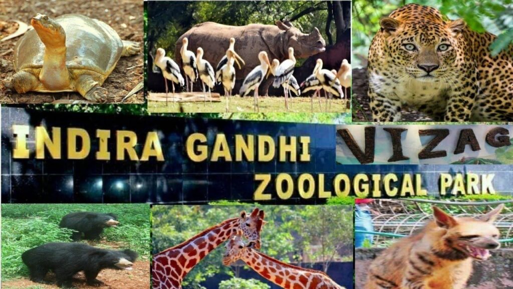 indira gandhi wildlife sanctuary and national park